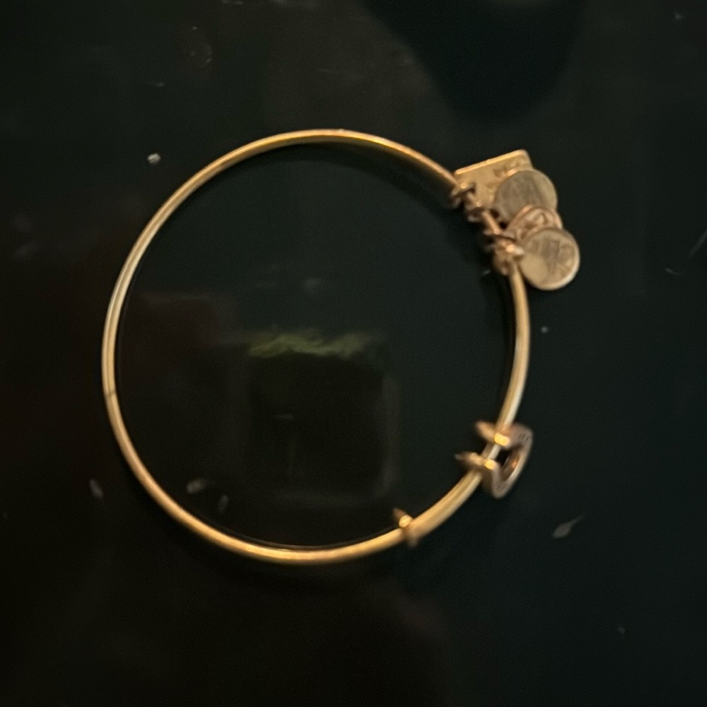Alex and ani good horseshoe slide